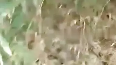 Village girl outdoor MMS fucking video with lover